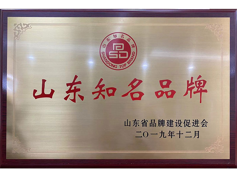 山东知名品牌